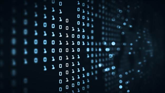 What is a Binary File